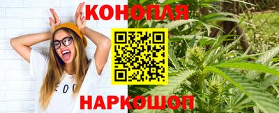 гашик Ипатово