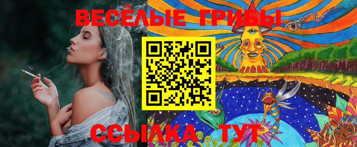 Псилоцибиновые грибы ЛСД Лесосибирск