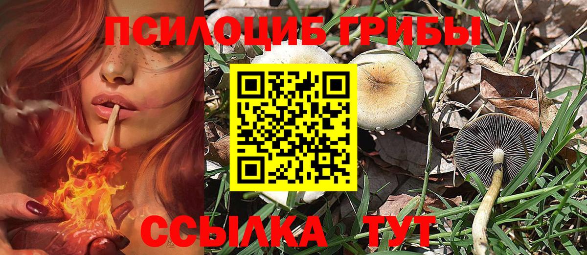 Галлюциногенные грибы Magic Shrooms  Вход с VPN  Лесосибирск 